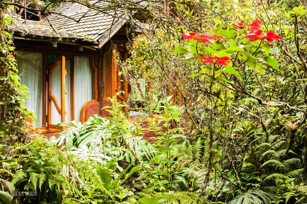 Finca Chamanapamba Guest House Baños Buitenkant foto